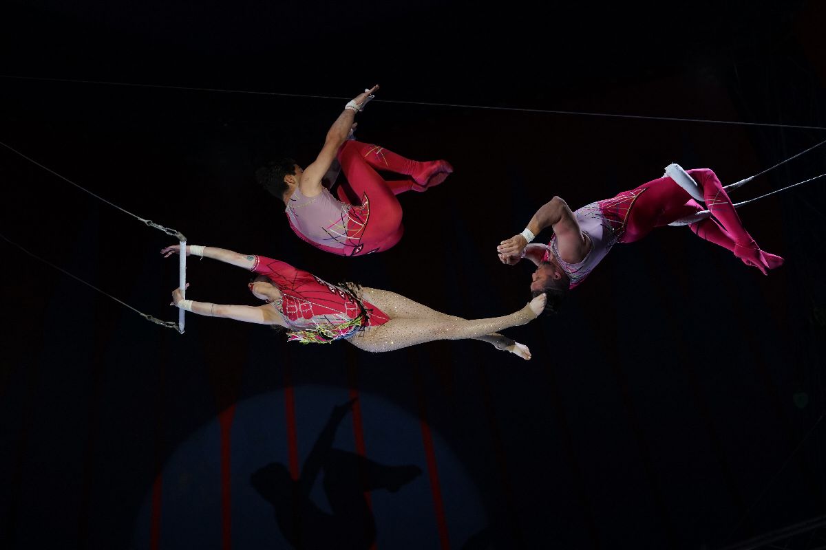Flying Zunigas